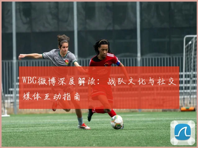 WBG微博深度解读:战队文化与社交媒体互动指南